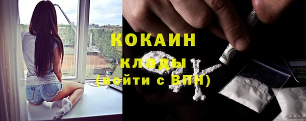 соль ск Ельня
