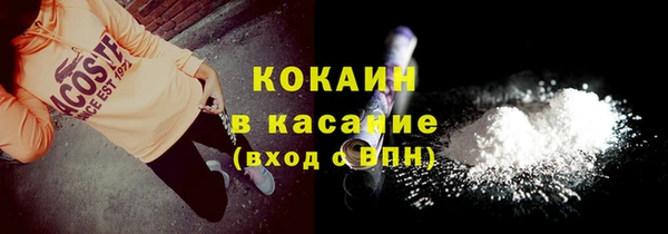 соль ск Ельня