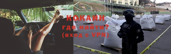 соль ск Ельня