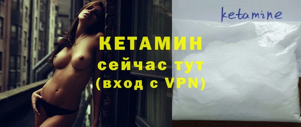 соль ск Ельня