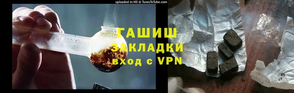 соль ск Ельня