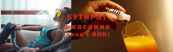 соль ск Ельня