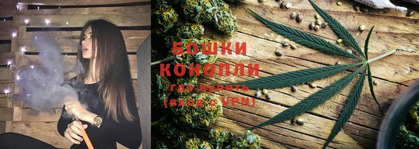 крисы Елизово
