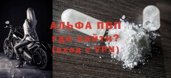 соль ск Ельня