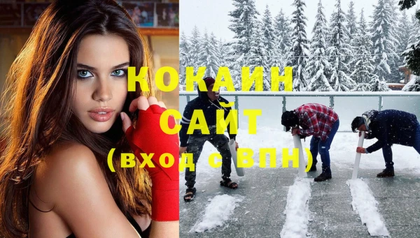 соль ск Ельня