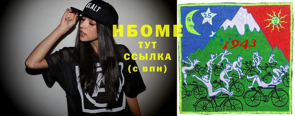 соль ск Ельня