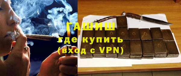 соль ск Ельня