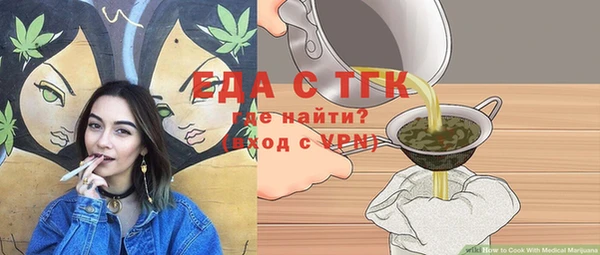 соль ск Ельня