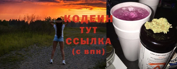 соль ск Ельня