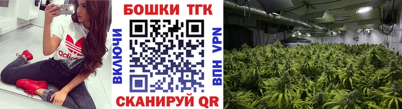 Конопля марихуана  Новоузенск 